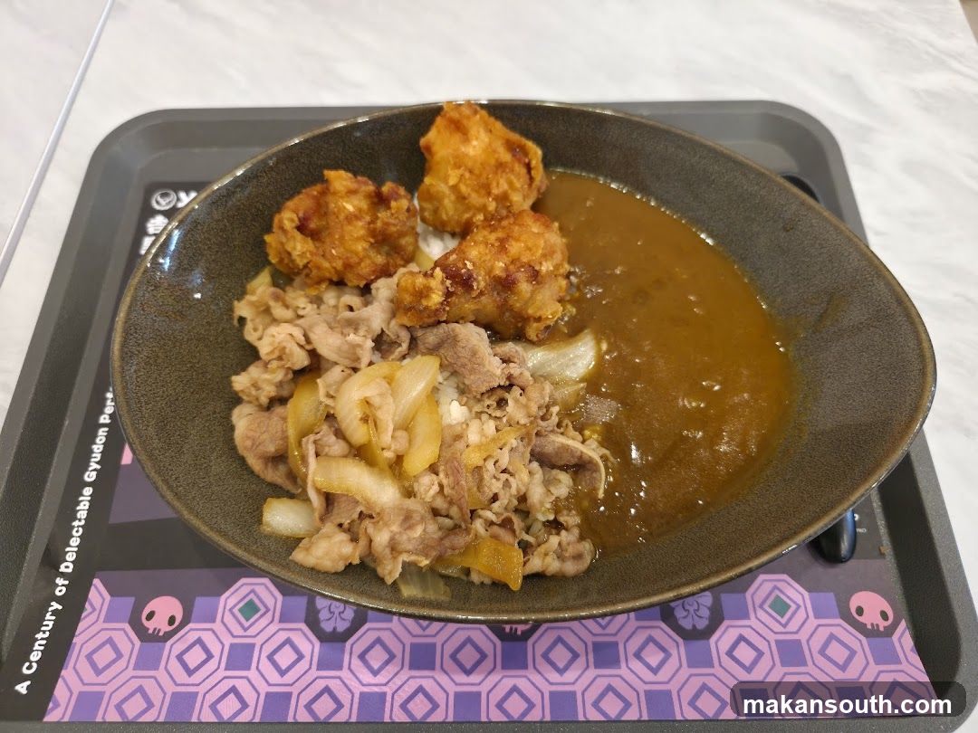 Beef and Chicken Curry Rice
