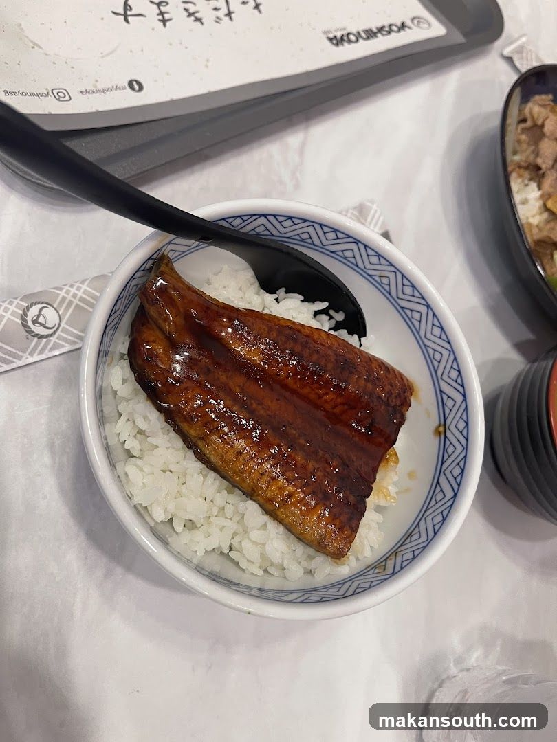 Unagi Donburi