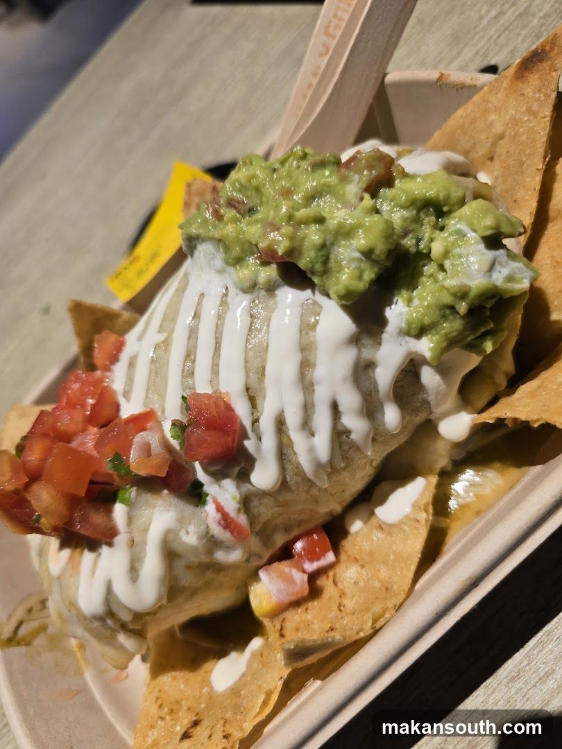 Burrito with Guacamole and Salsa