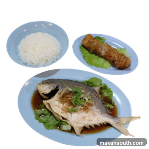 Steamed Fish with Rice and Spring Rolls