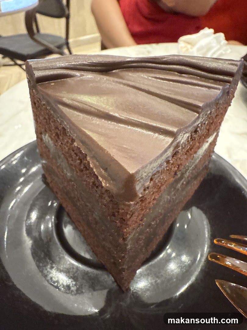 Chocolate Cake Slice