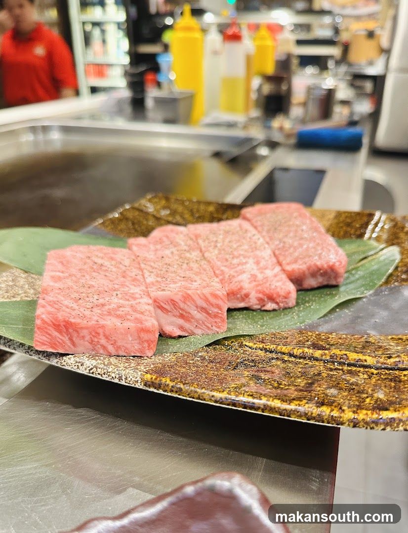 Raw Beef Slices