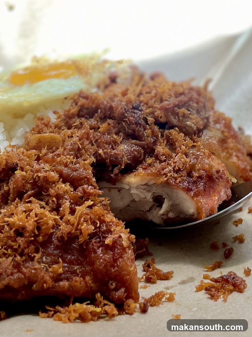 Fried Chicken with Rice and Egg