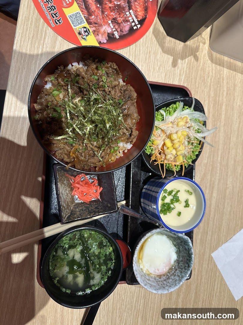 Japanese Beef Bowl Set