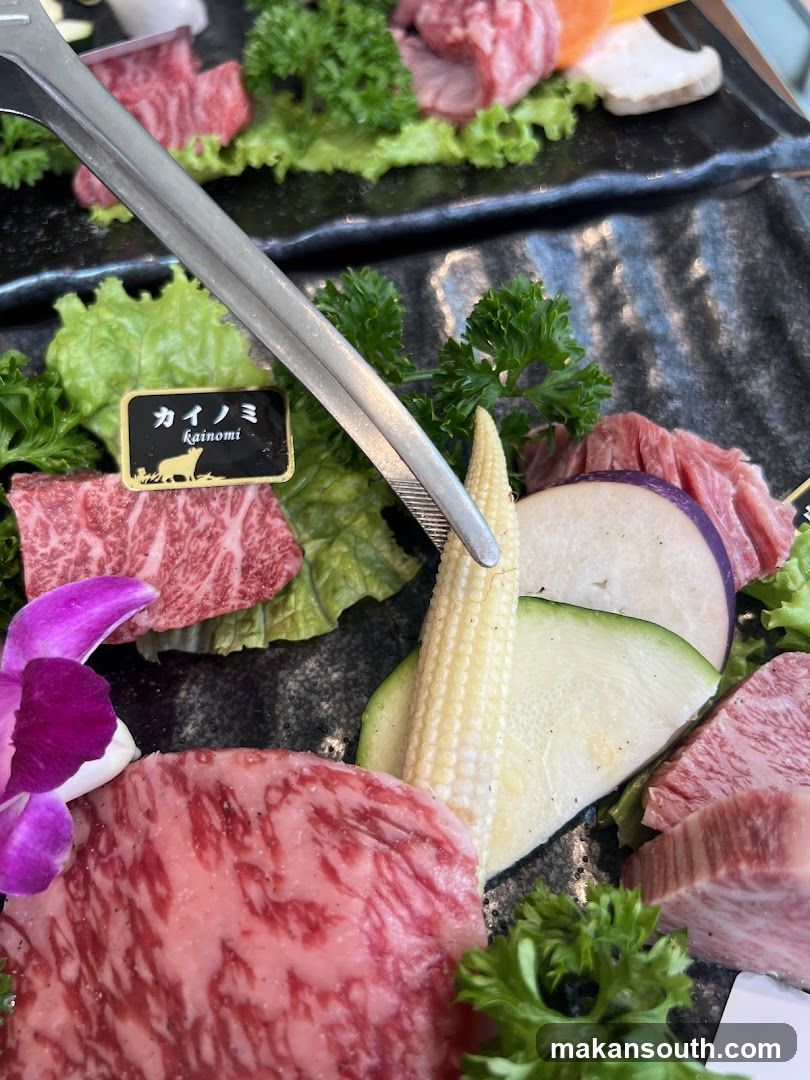 Assortment of Raw Meats and Vegetables