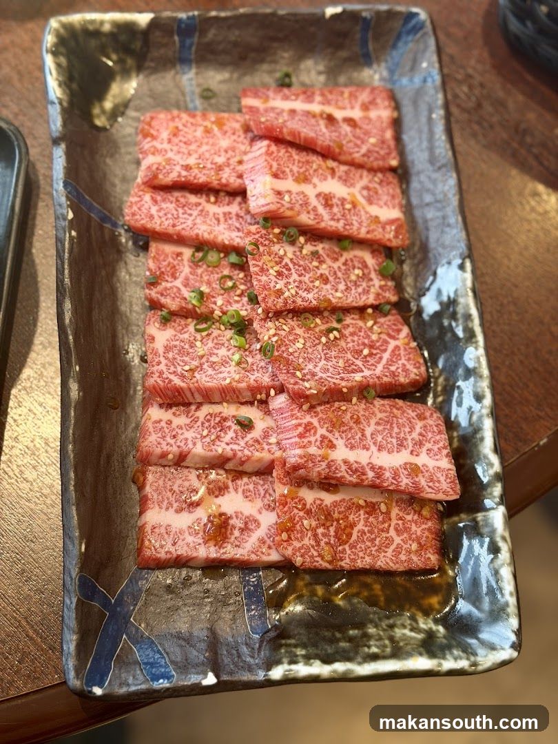 Marinated Sliced Beef