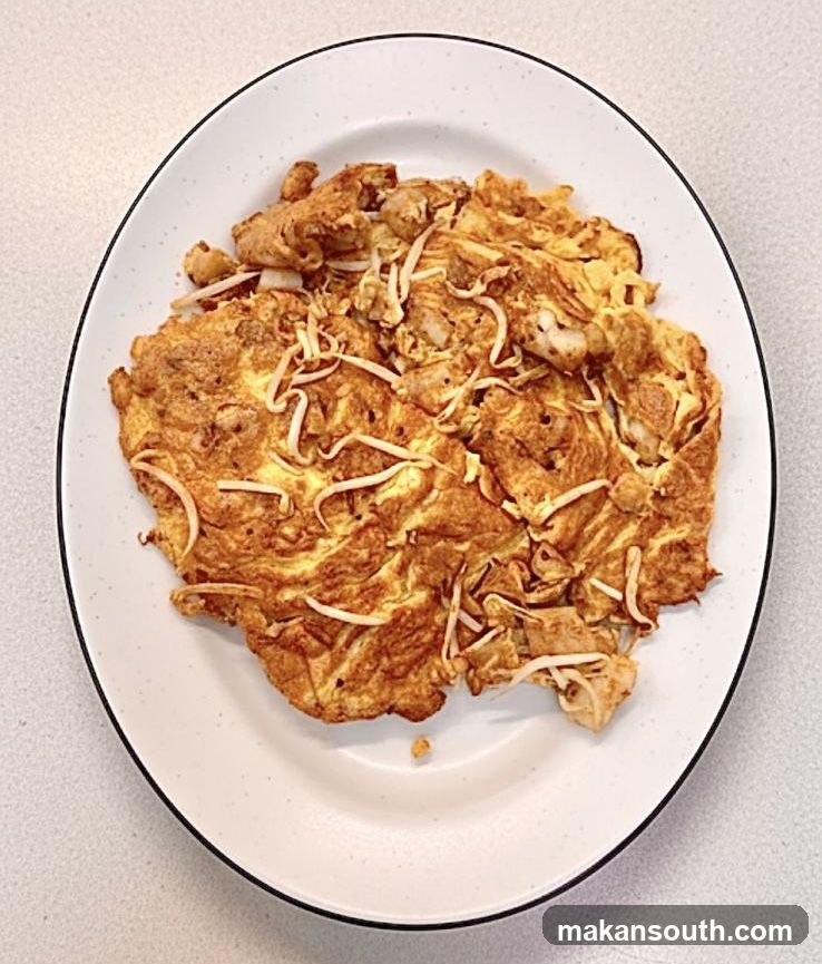 Omelet with Bean Sprouts