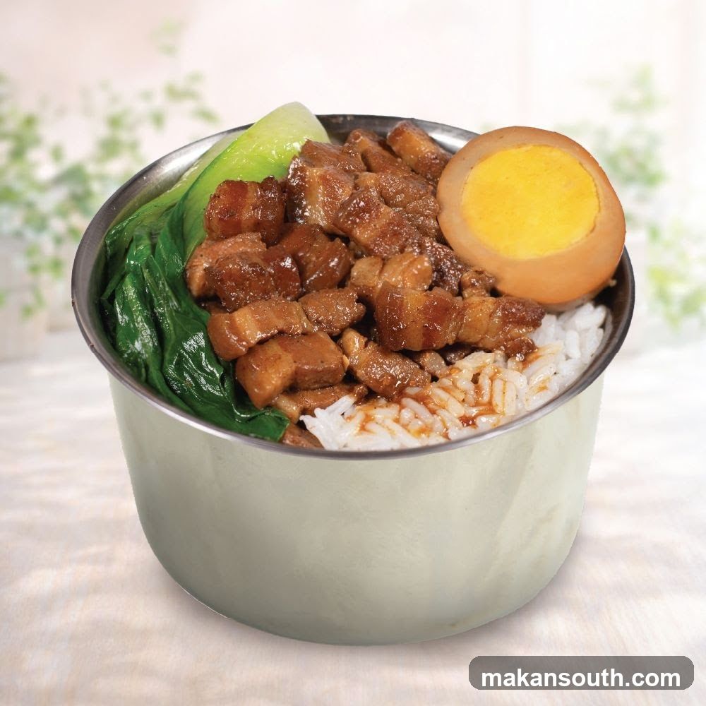 Braised Pork Rice Bowl