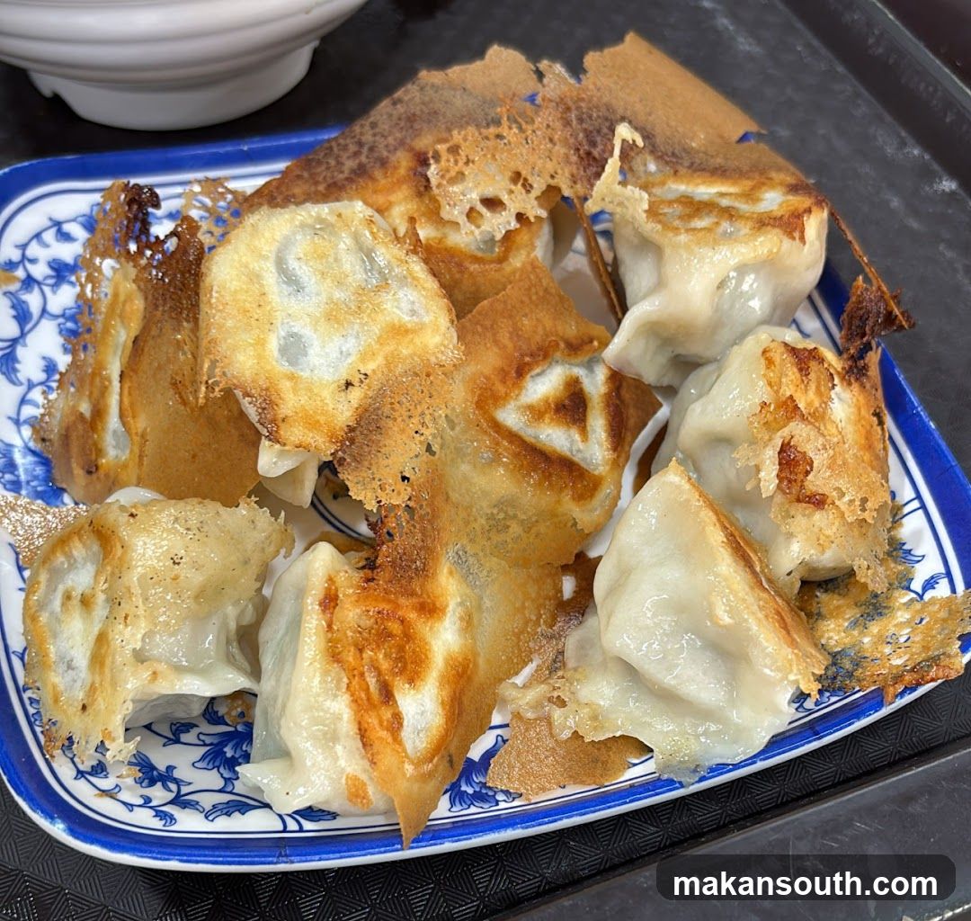 Pan-Fried Dumplings