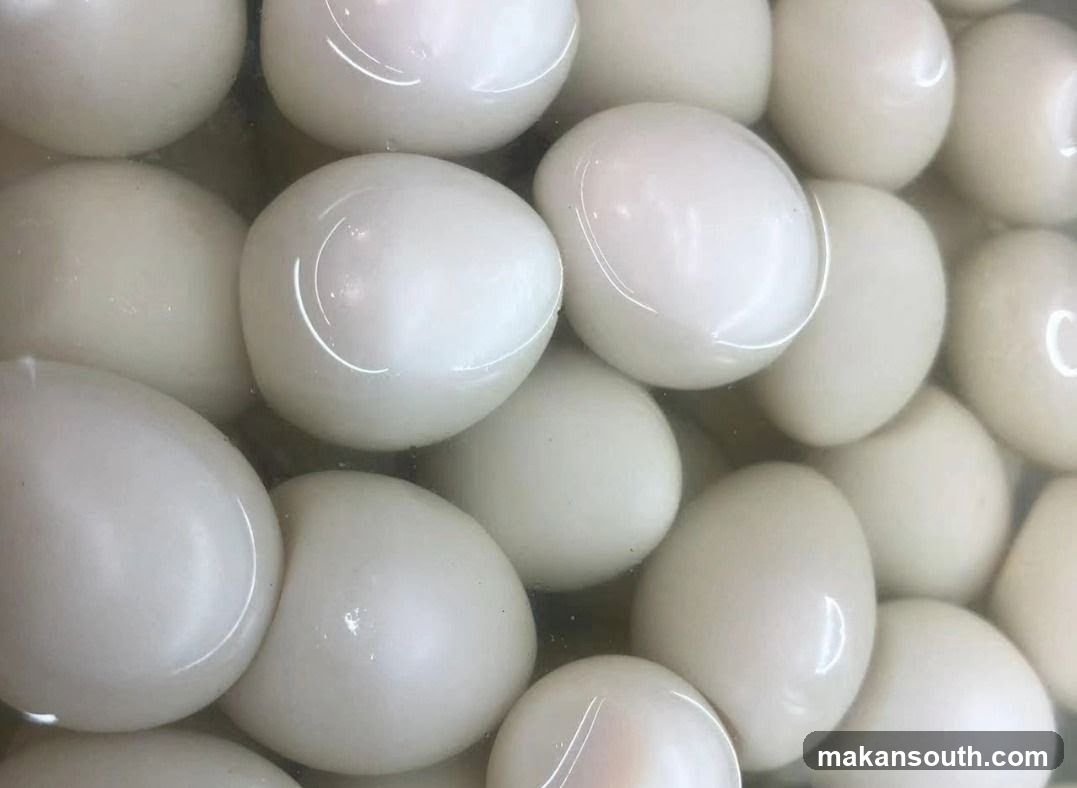 Hard-Boiled Eggs