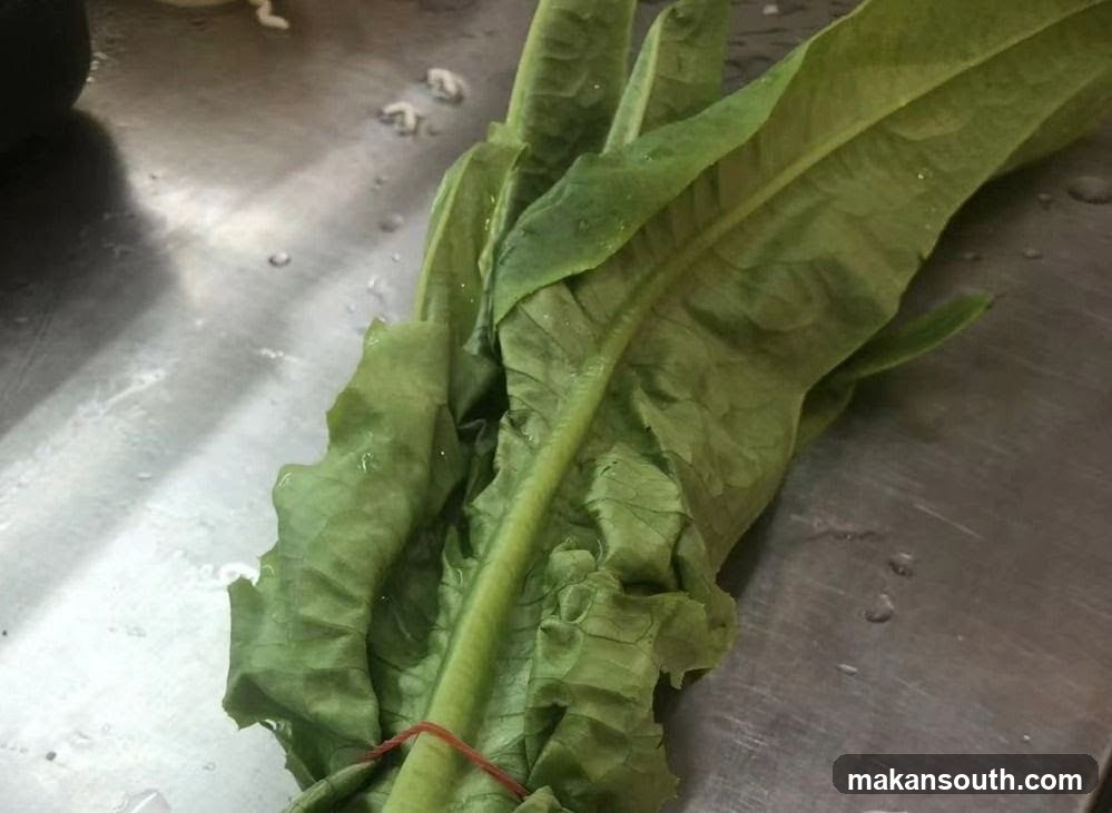 Greens on a Metal Surface