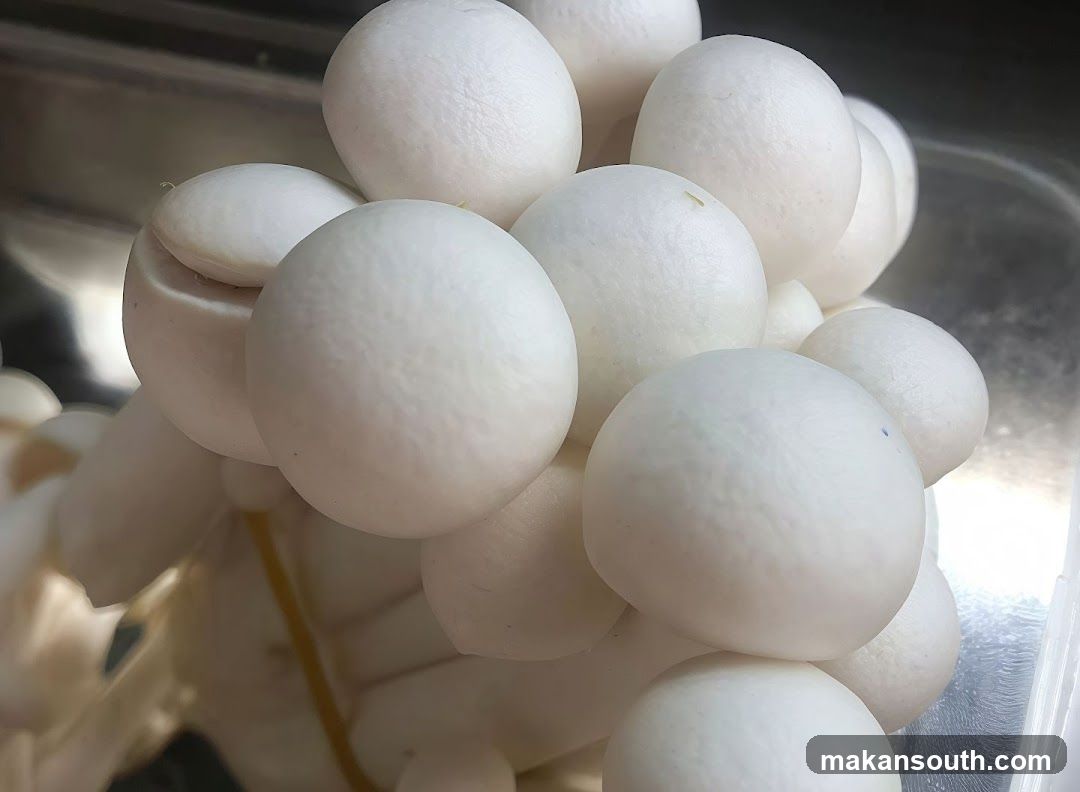 White Bun Mushrooms