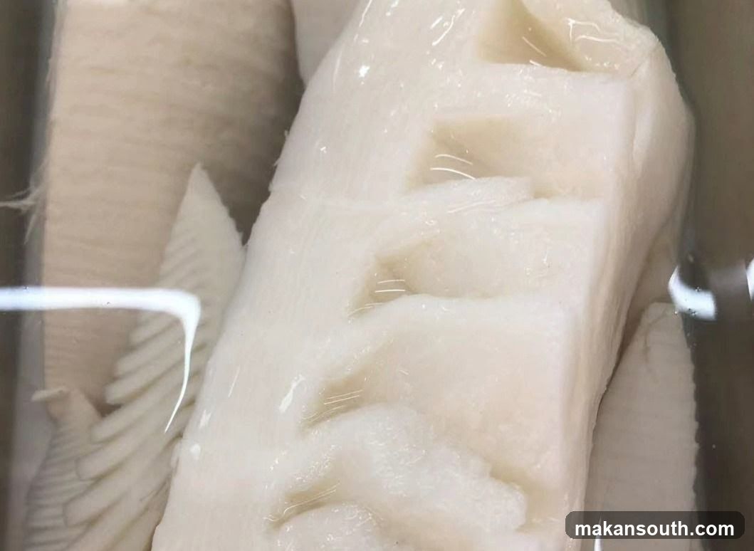 Preserved Bamboo Shoots