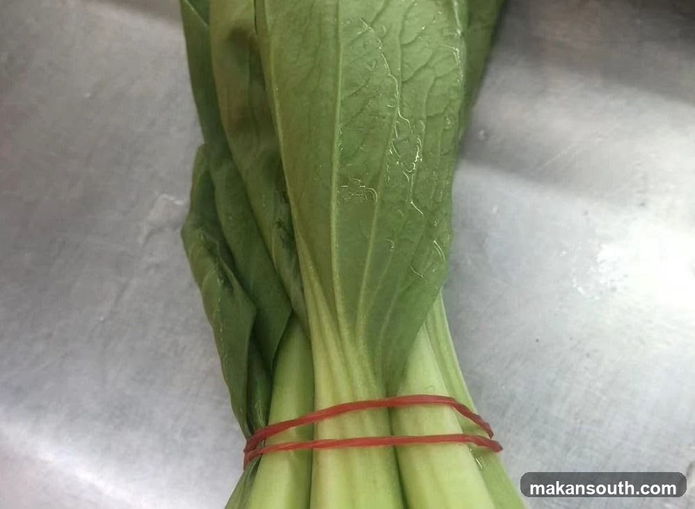 Bok Choy Bundle