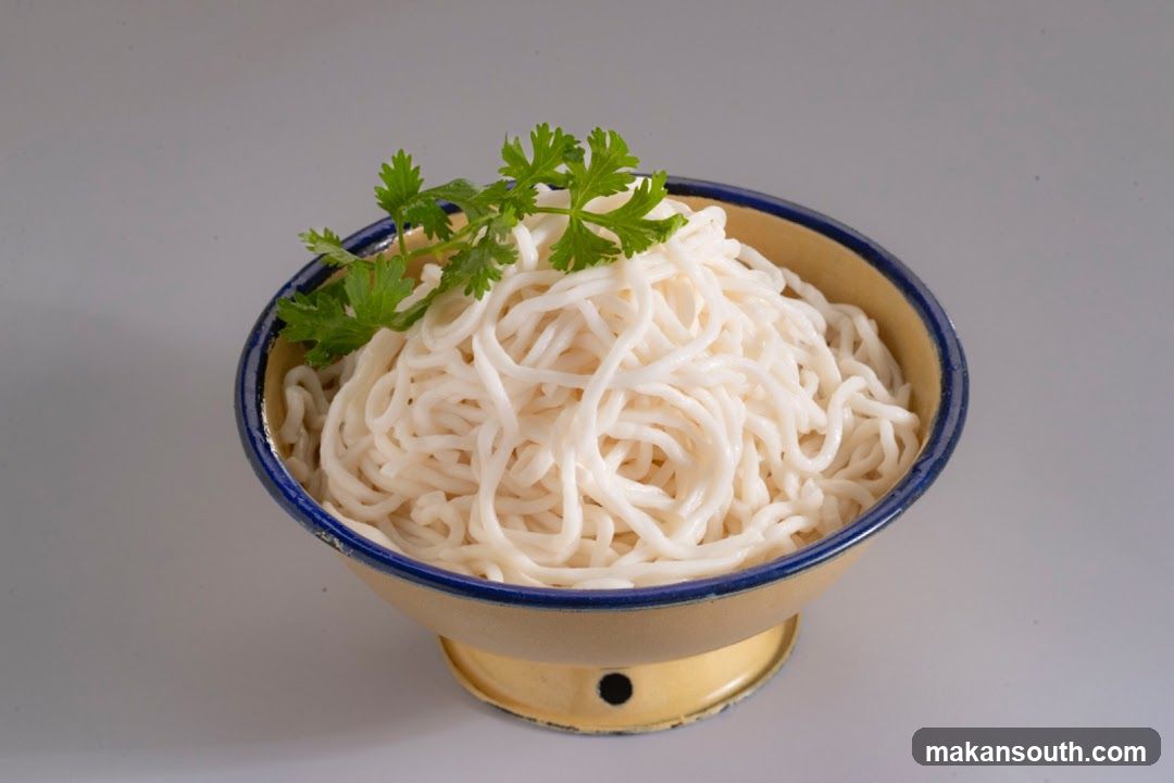Bowl of Noodles