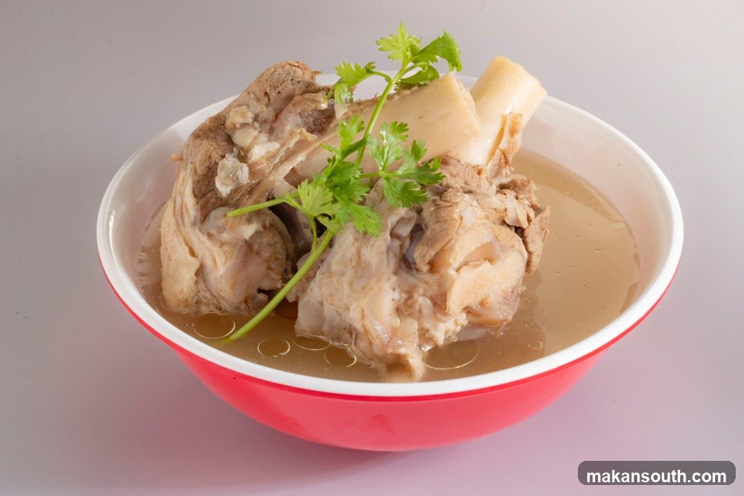 Bowl of Bone Broth with Meat and Garnish