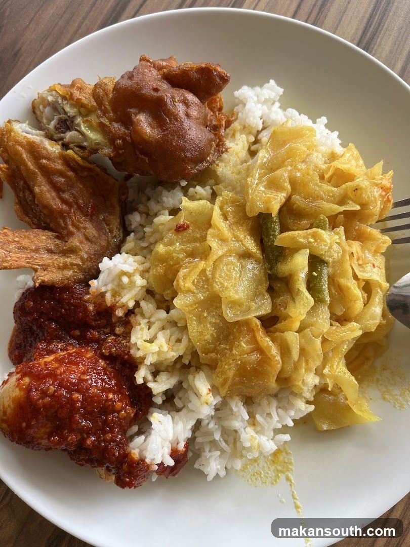 Plate of Rice with Fried Chicken and Curry