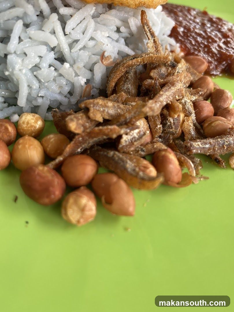 Nasi Lemak Close-up