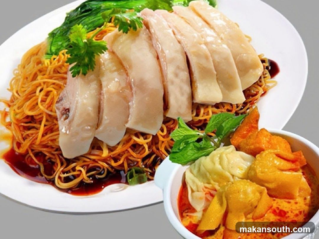 Chicken Noodles with Curry Wontons