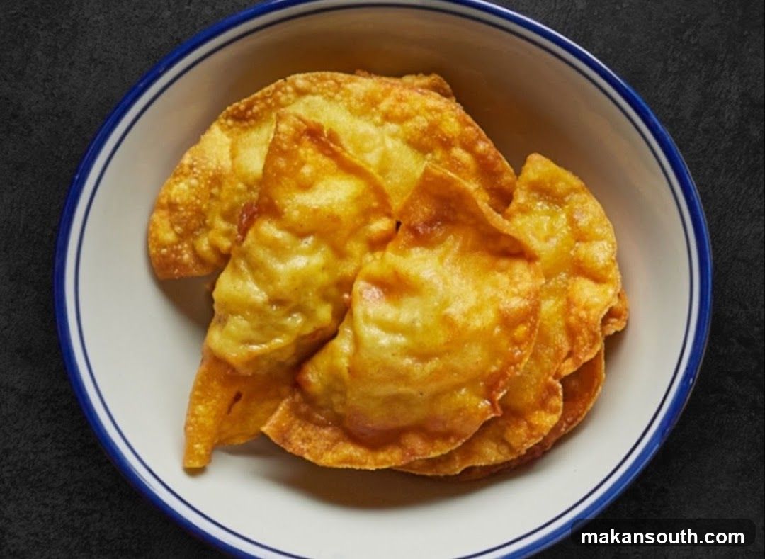Fried Wontons
