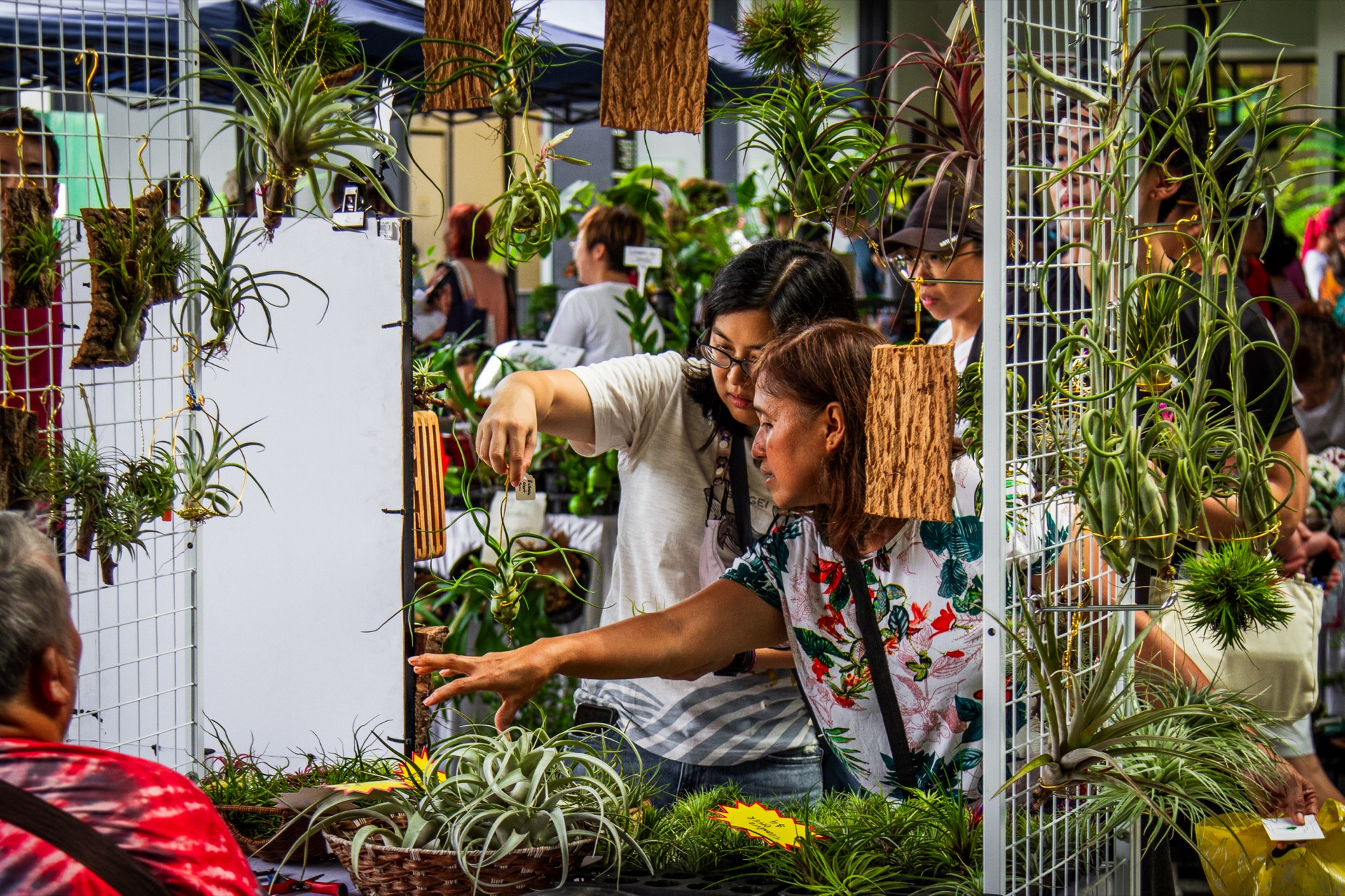 HortPark Gardeners' Day Out, Saturday 21 November, 9am to 3pm