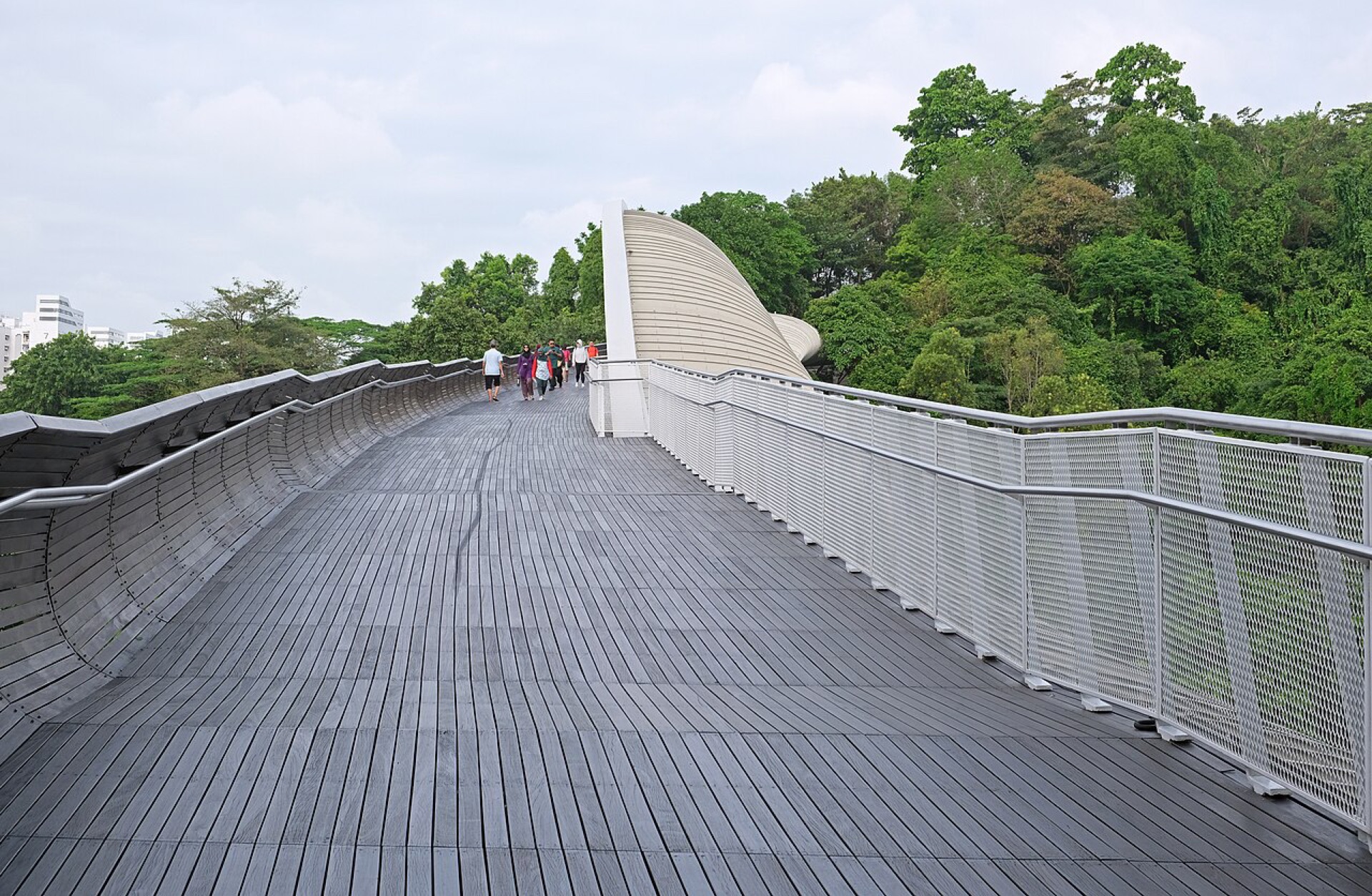 Alexandra Arch on the Southern Ridges, the HortPark end of Forest Walk