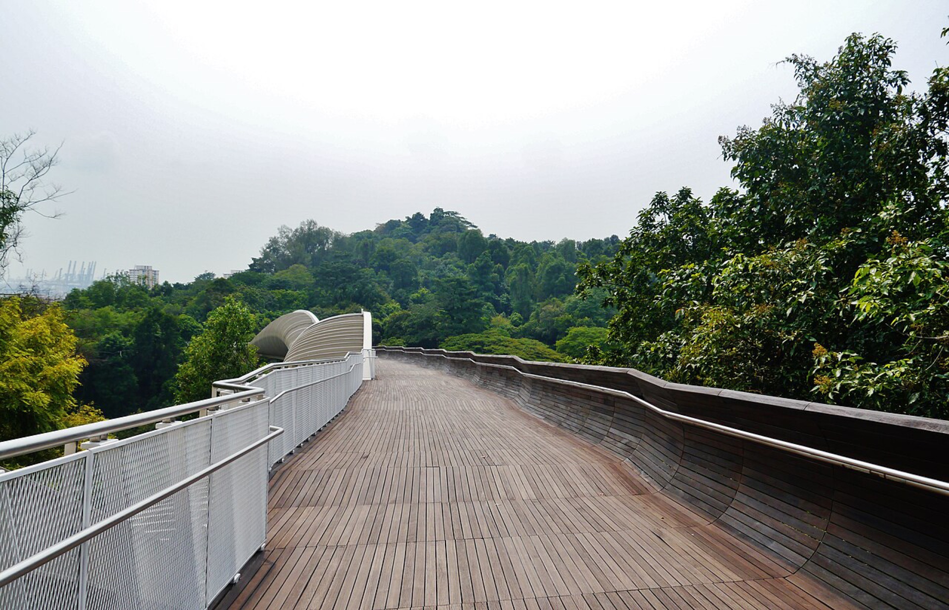 Henderson Waves deck looking toward Mount Faber, LED hours still 7pm to 2am