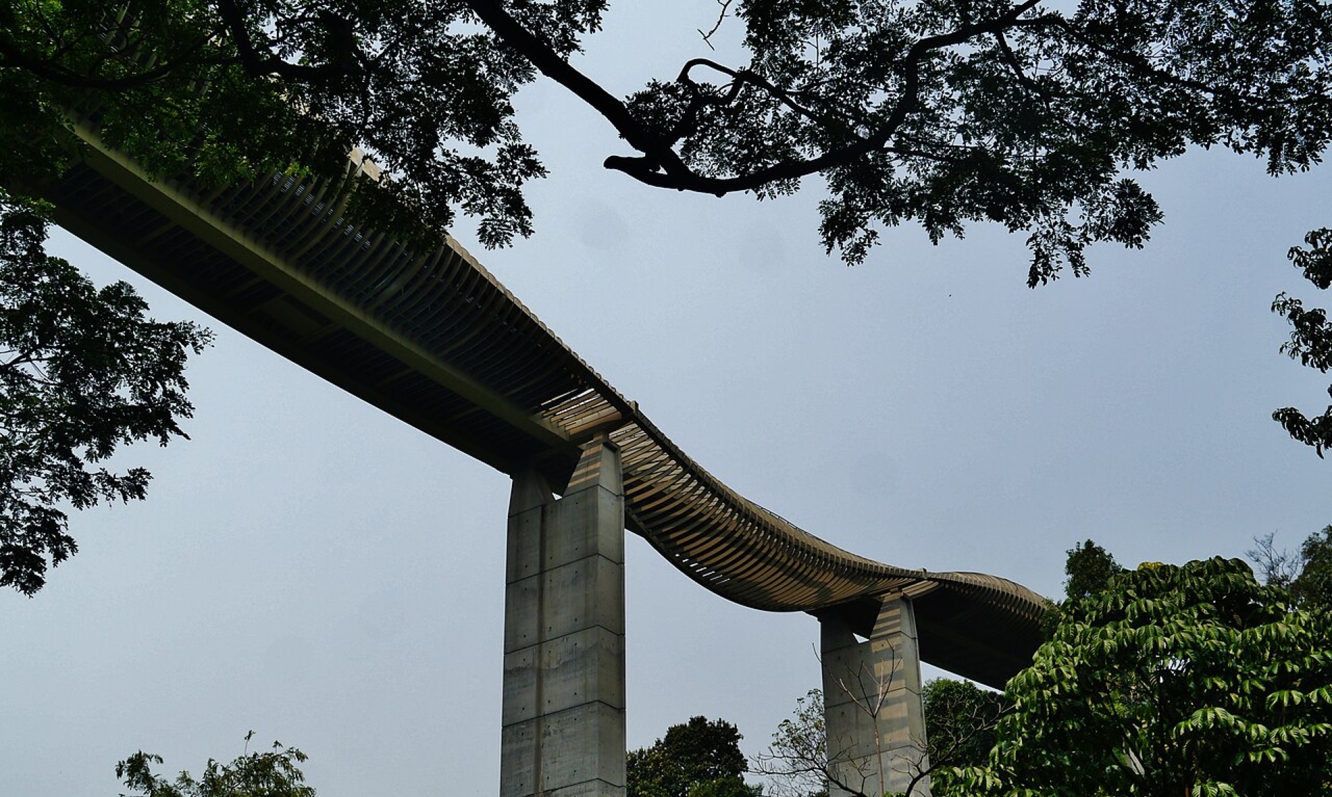 Forest Walk unlit after 7pm until 30 November, Berlayar Creek shut to March