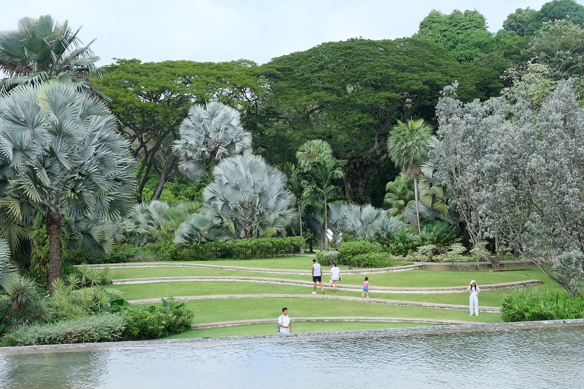 HortPark lawns at Hyderabad Road, daylight start of a Southern Ridges walk